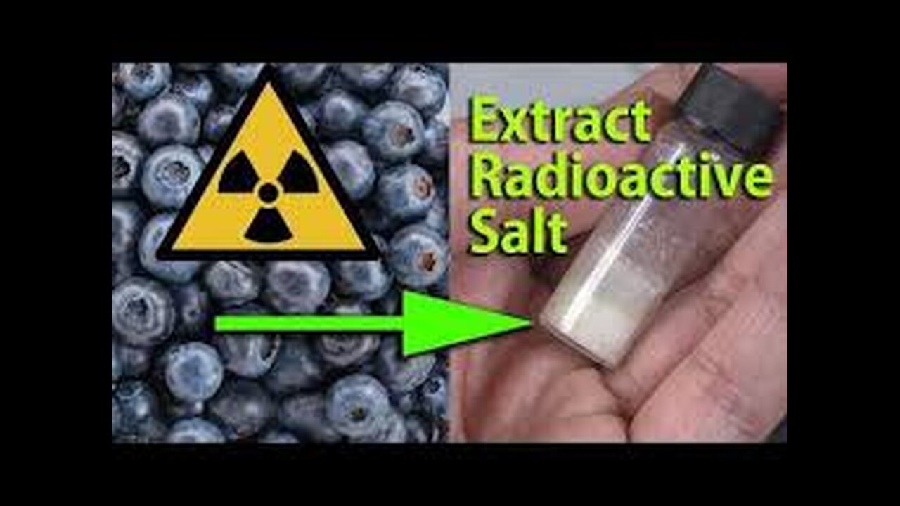 Extracting Radioactive Salt from Chernobyl Blueberries 10:23 25times _over international limit Bq/kg