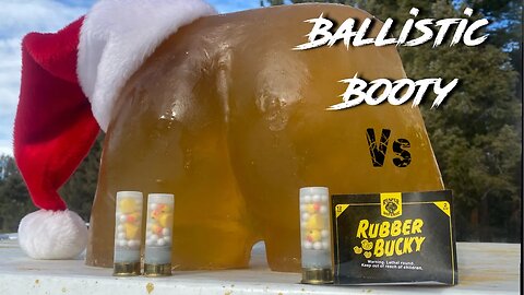 Ballistic Butt vs 12 Gauge Rubber Bucky Rounds