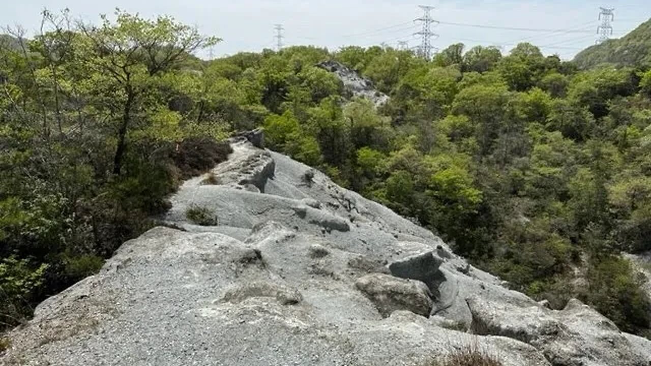 I went out to Donzuru bo to play some tunes (continuation of bonus 8)