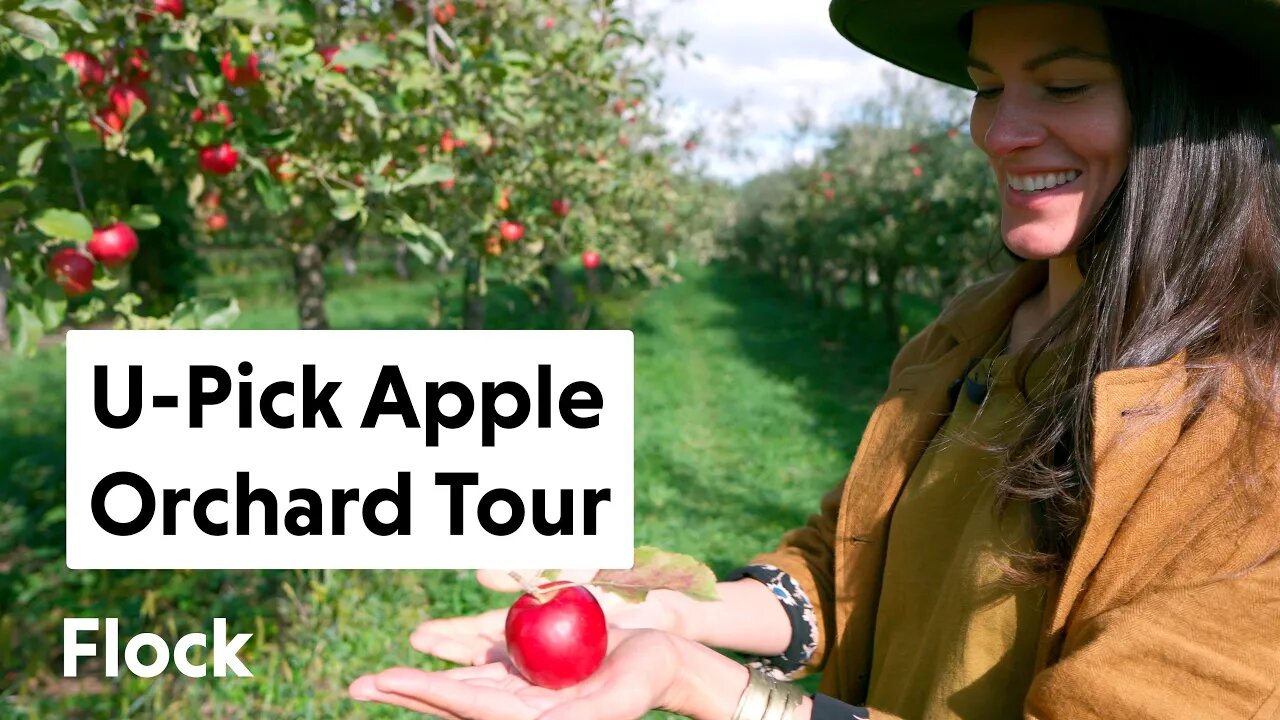 Tour a U-Pick APPLE ORCHARD with 60 Different Apples! — Ep. 021