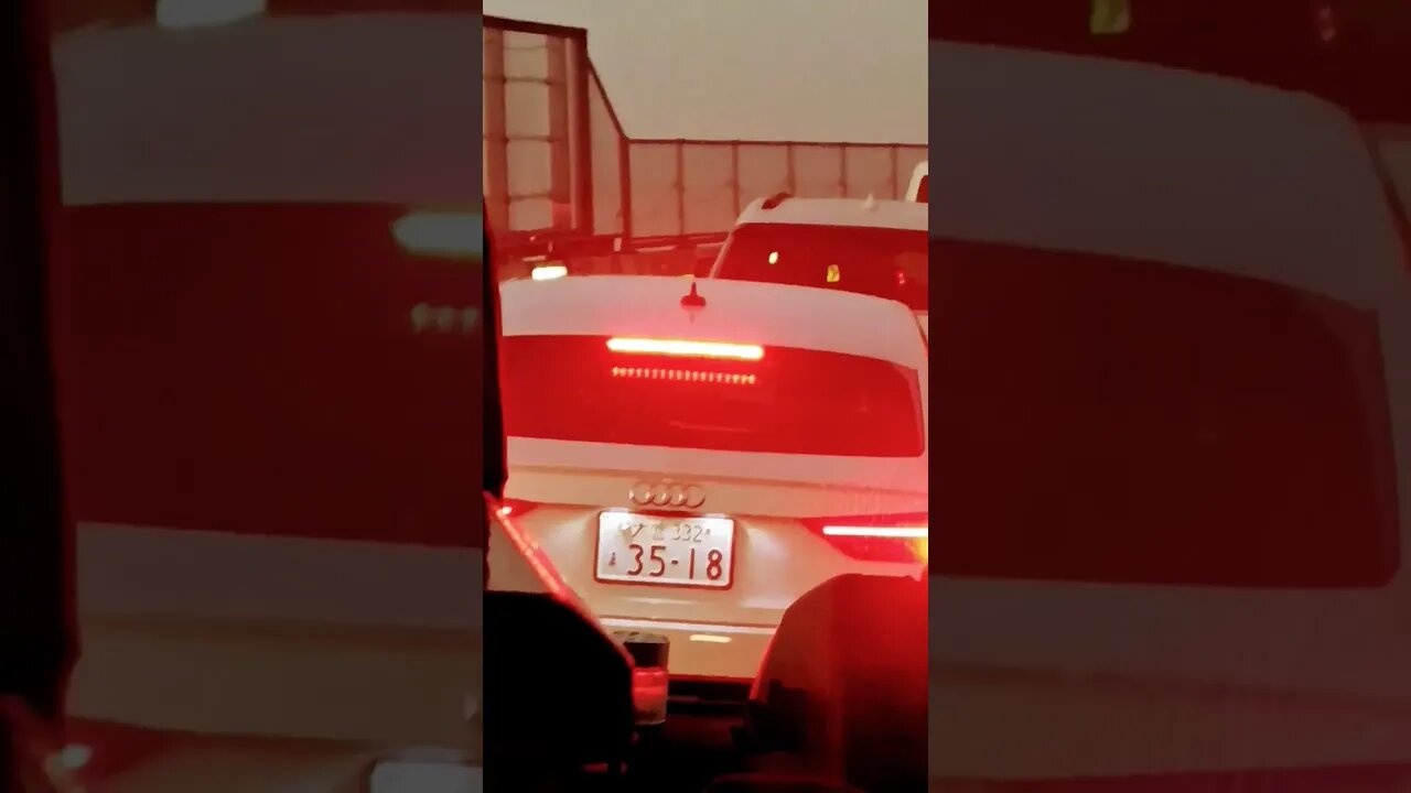 #etsukojunio #etsukofans #fransiscaofficial #teamfransisca #沉连清 #fransisca #fransiscametaworld