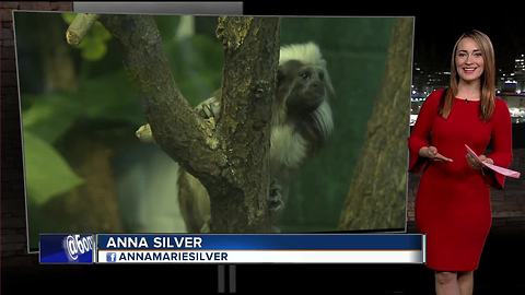 Free admission at Zoo Boise Saturday
