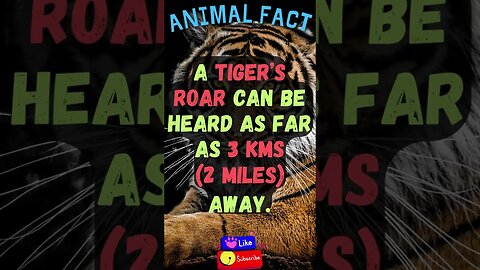 🦌Discover Fascinating Animal Facts👀 #shorts #shortsfact #animalfacts #funfactsshorts #tigerfacts