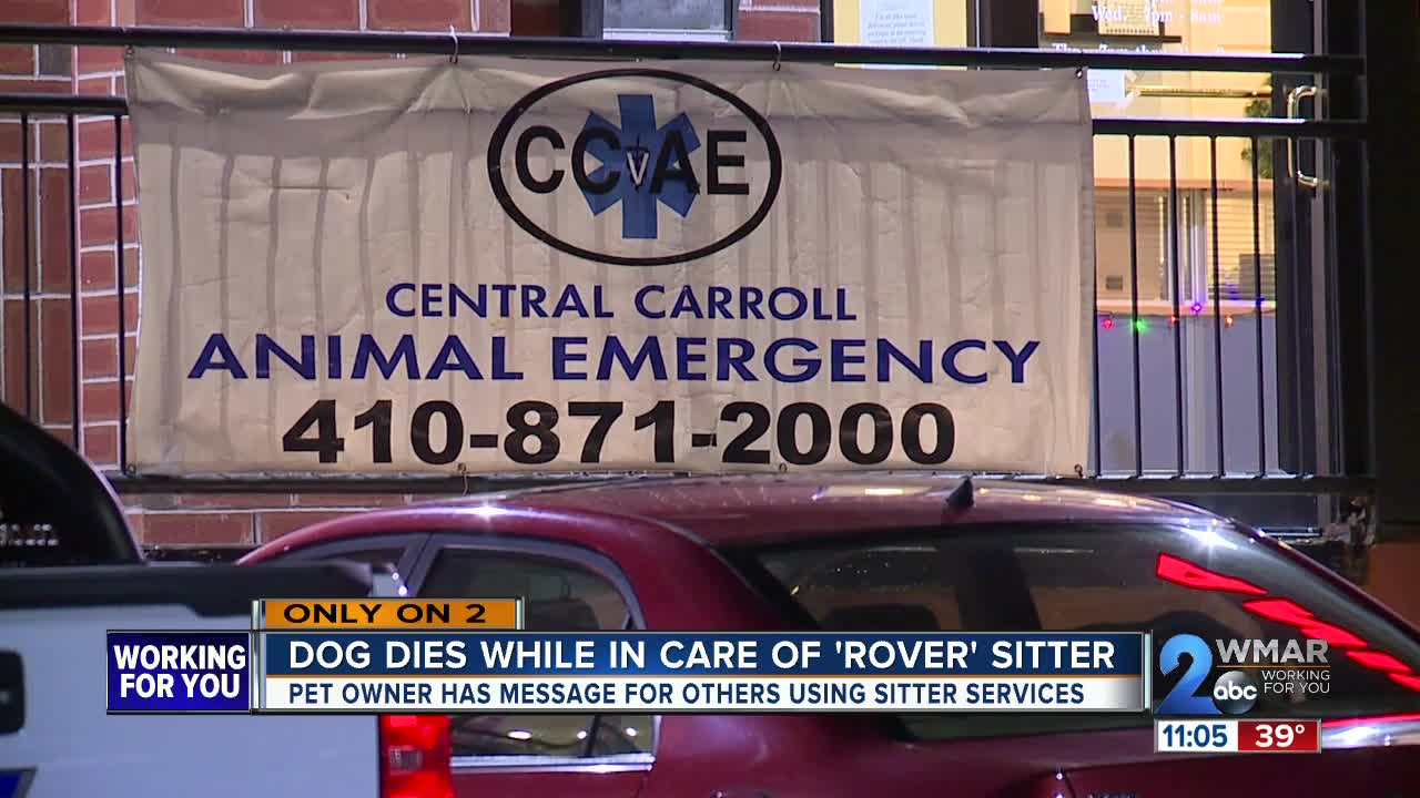 Dog dies on Thanksgiving while in care of Carroll Co. 'Rover' sitter