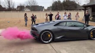 La Lamborghini rivela il sesso del nascituro