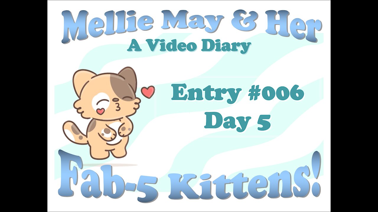 Video Diary Entry 006 - Day 5 of Mellie May and Babies