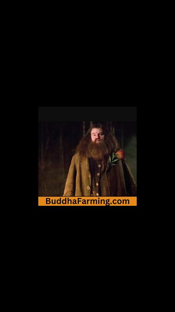 Robbie Coltrane: Hagrid from Harry Potter actor dies aged 72 RIP