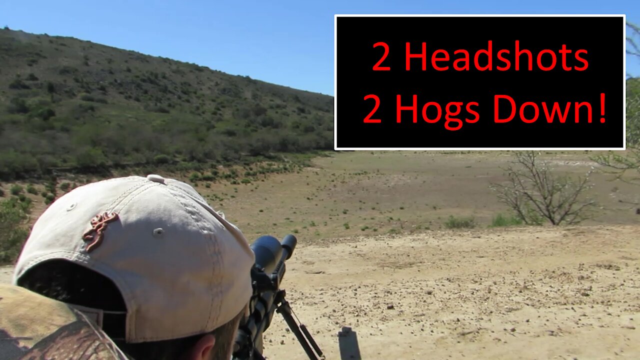 2 Headshots 2 Hogs Down!