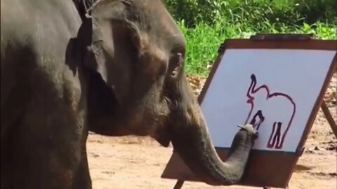 The elephant shows his talent in drawing very similar elephants