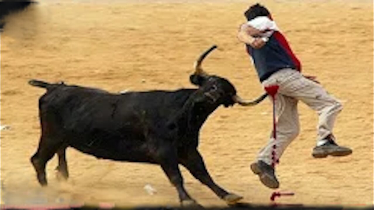 Crazy bullfighting