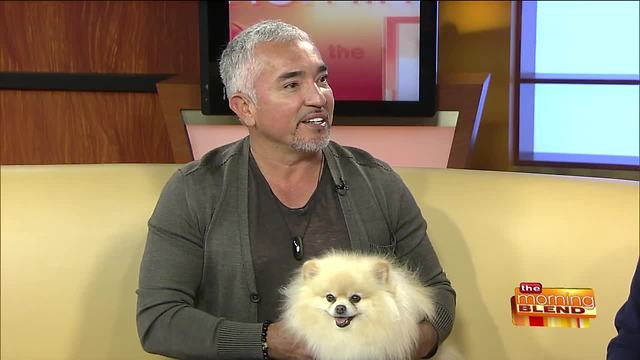 Canine Wisdom from Cesar Millan