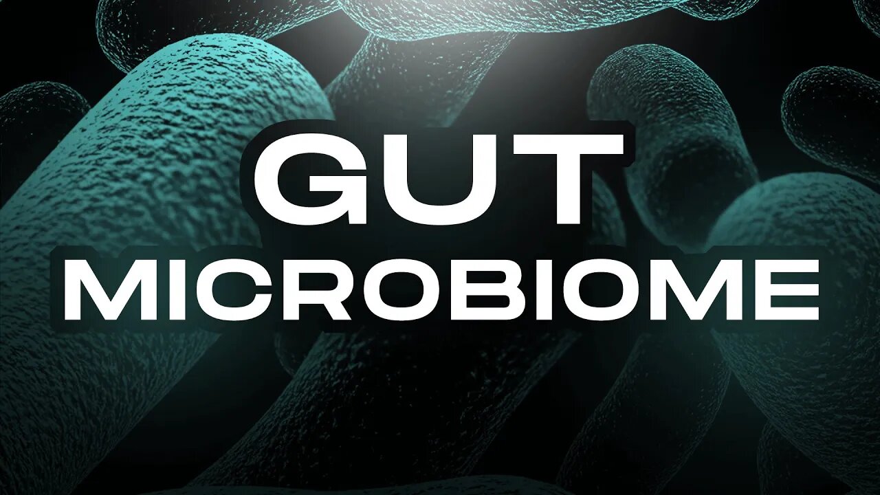 How Gut Microbiome Affects Your Body?