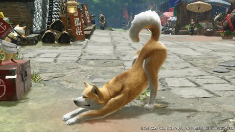 Doge in Monster Hunter Rise Sunbreak...
