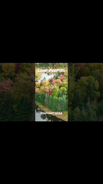 Leaf Peeping 2022