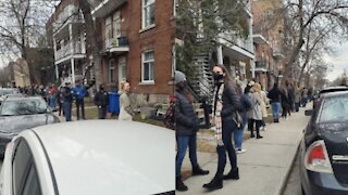 Une immense file d'attente pour visiter un appartement a été aperçue à Montréal