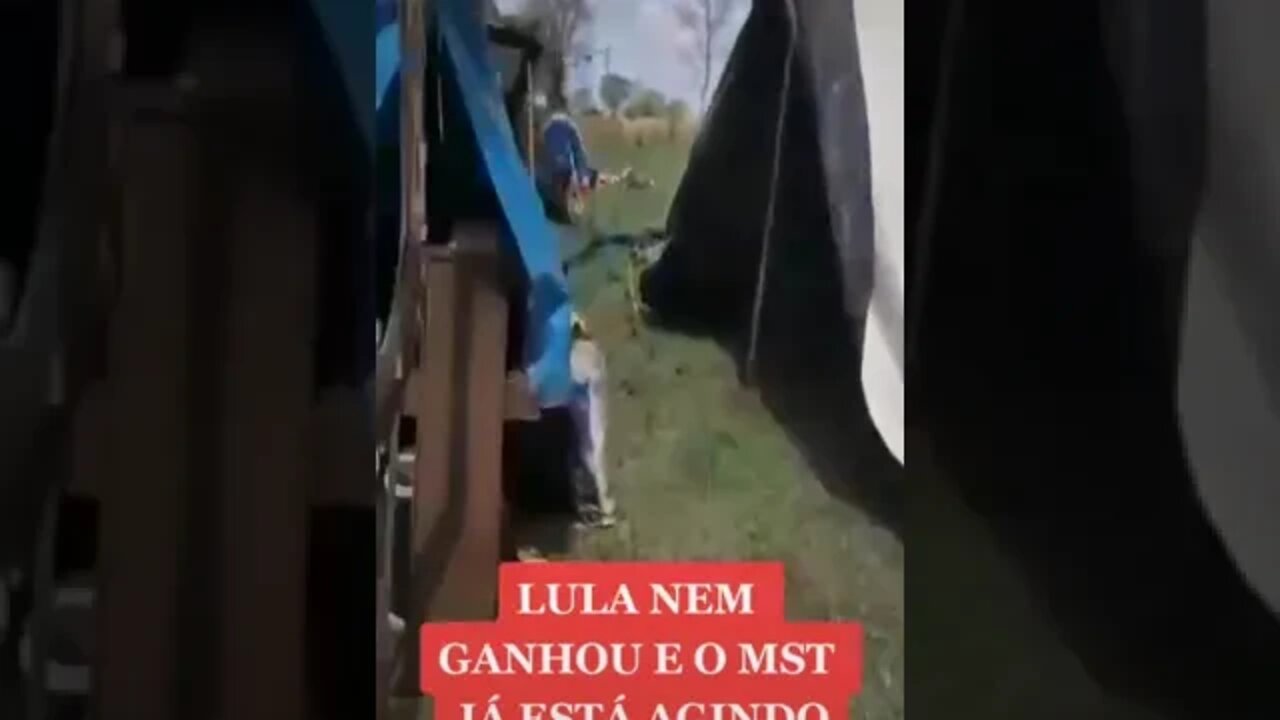 MST invade fazenda esperando vitoria de Lula e o dono tenta dialogar