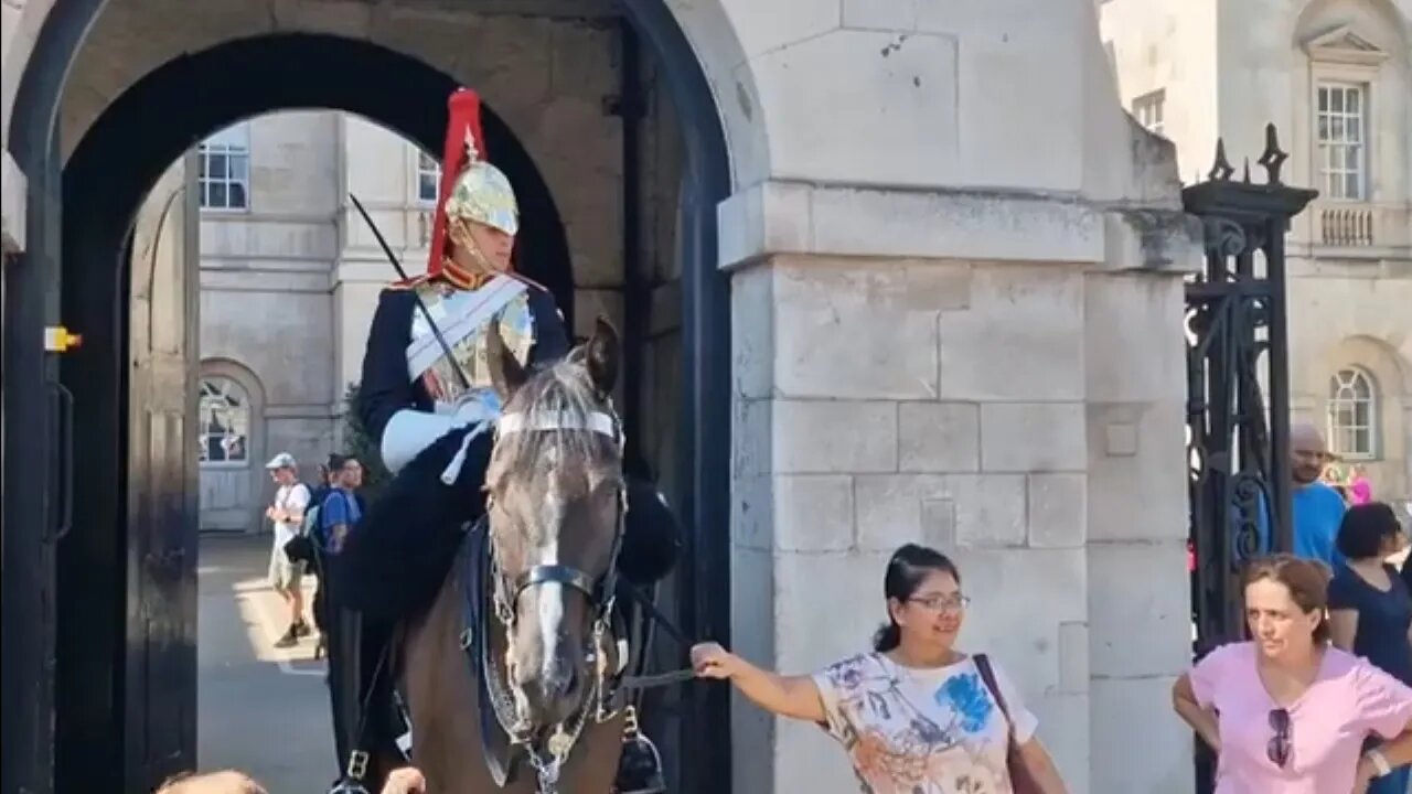 She just pulls the reins towards her self #horseguardsparade