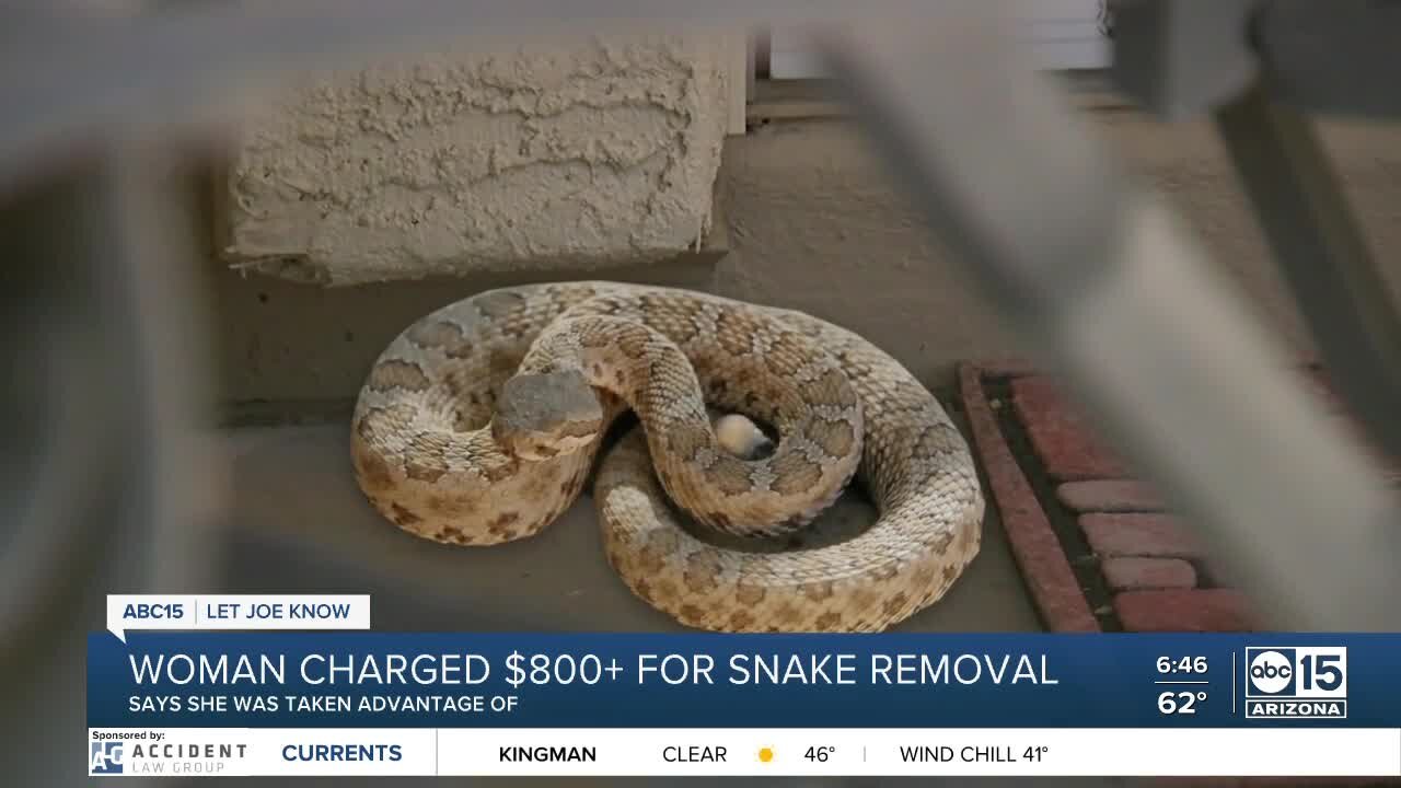 LJK: Woman charged $800+ for snake removal