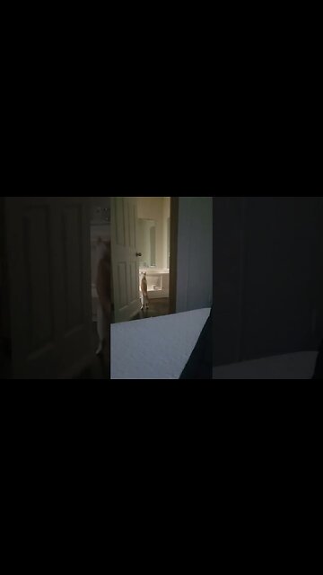 my cat playing fetch