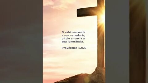 Palavras de Sabedoria de Salomão - Quarta da Palavra - Passagem Bíblica - Mensagem do dia #shorts