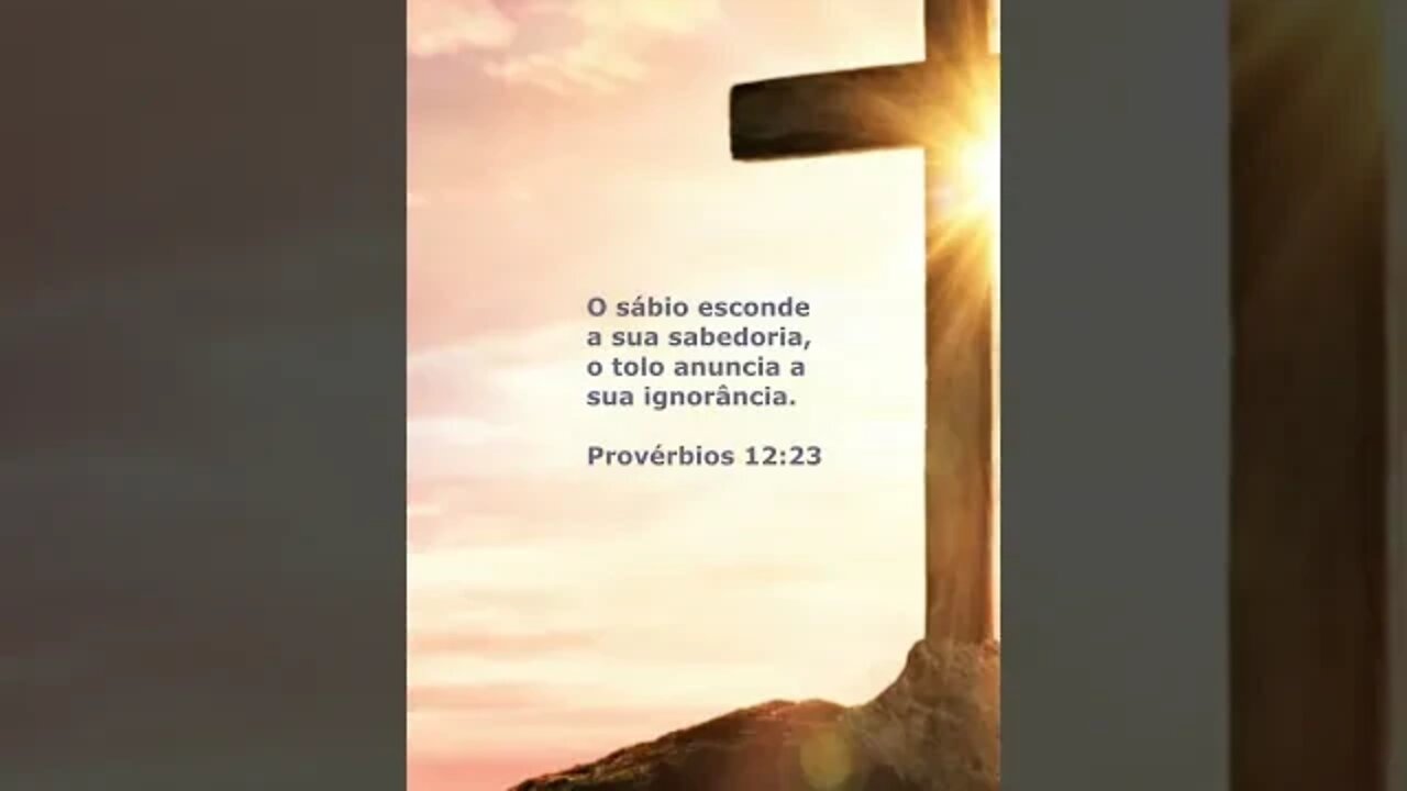 Palavras de Sabedoria de Salomão - Quarta da Palavra - Passagem Bíblica - Mensagem do dia #shorts