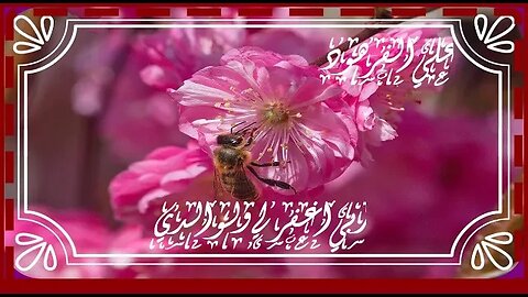 قران الكريم من اجمل الاصوات@nsrm11