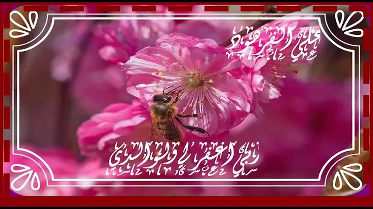 قران الكريم من اجمل الاصوات@nsrm11