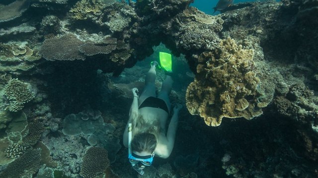 Hawaii Wants To Ban Sunscreens That Cause Severe Bleaching In Corals