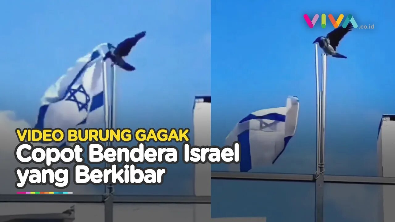 Burung Gagak 'Muntahkan' Bendera Israel, Israel Bakal Runtuh?