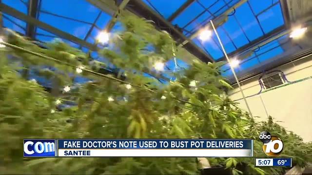 Fake doctor's note used to bust Santee pot deliveries