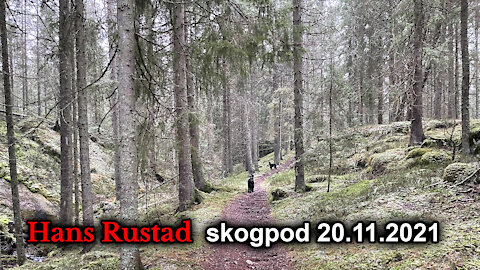 Skogpod 20. november, 2021: Når en part bruker vold forandres spillet