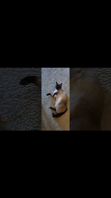 Cinder Play compilation jun 21st