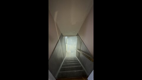 22 Barney Ln basement