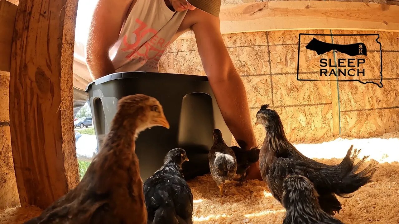 Chickens Get a New Home! | Anker Portable Power Station 767