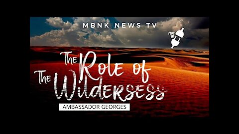 THE ROLE OF THE WILDERNESS