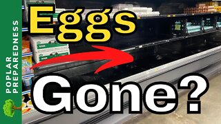 Pittsburgh Food Shortage Report