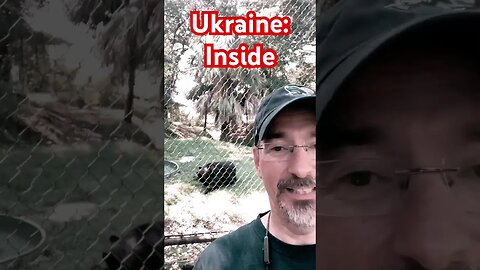 Ukraine war explained by a trip to the zoo #ukraine #ukrainewar #shorts