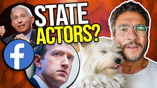 Zuckerberg and Fauci's Dangerous Relationship - viva Frei Vlawg