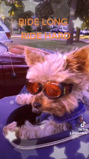 Gettin ready for some wind