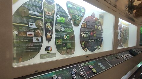 museum