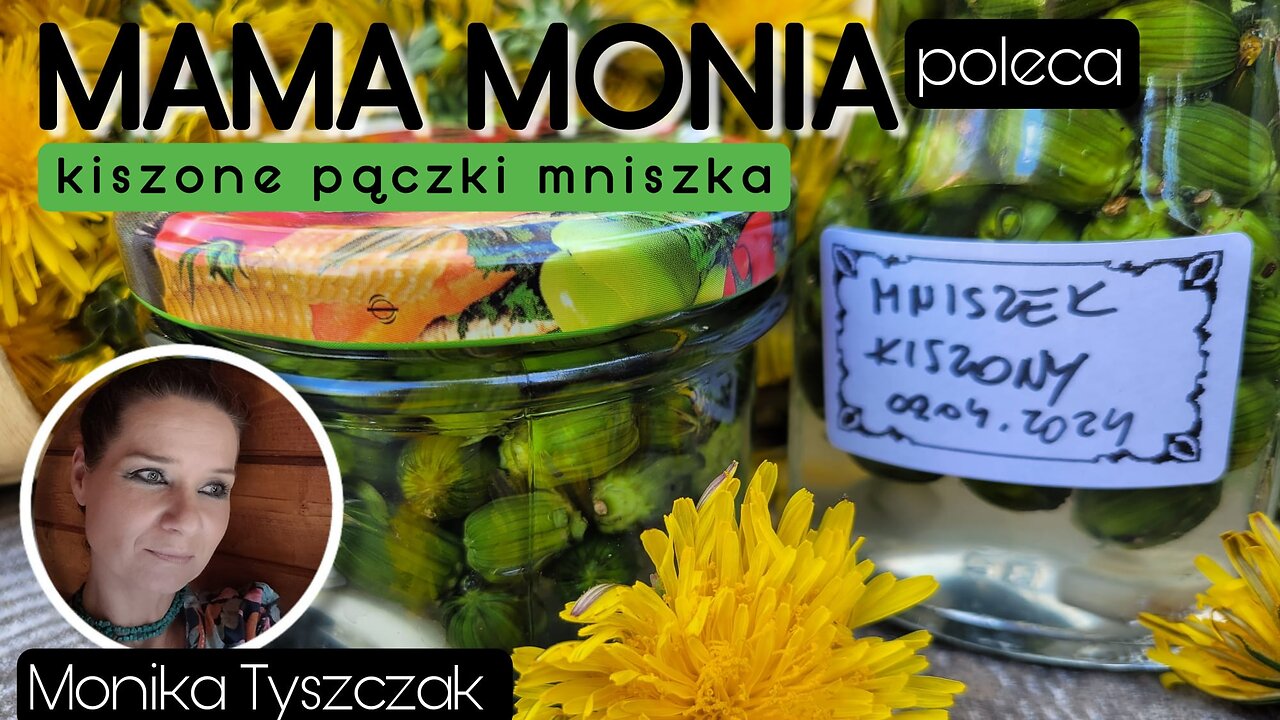 Mama Monia poleca: Kiszone pączki mniszka