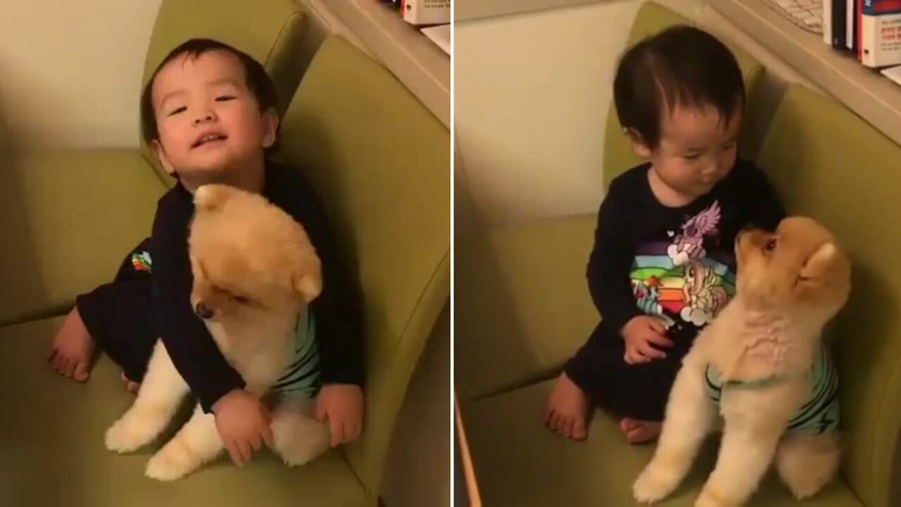 Toddler and little puppy like to spend time together