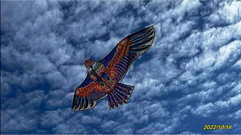 22_1019霧峰 老鷹香米