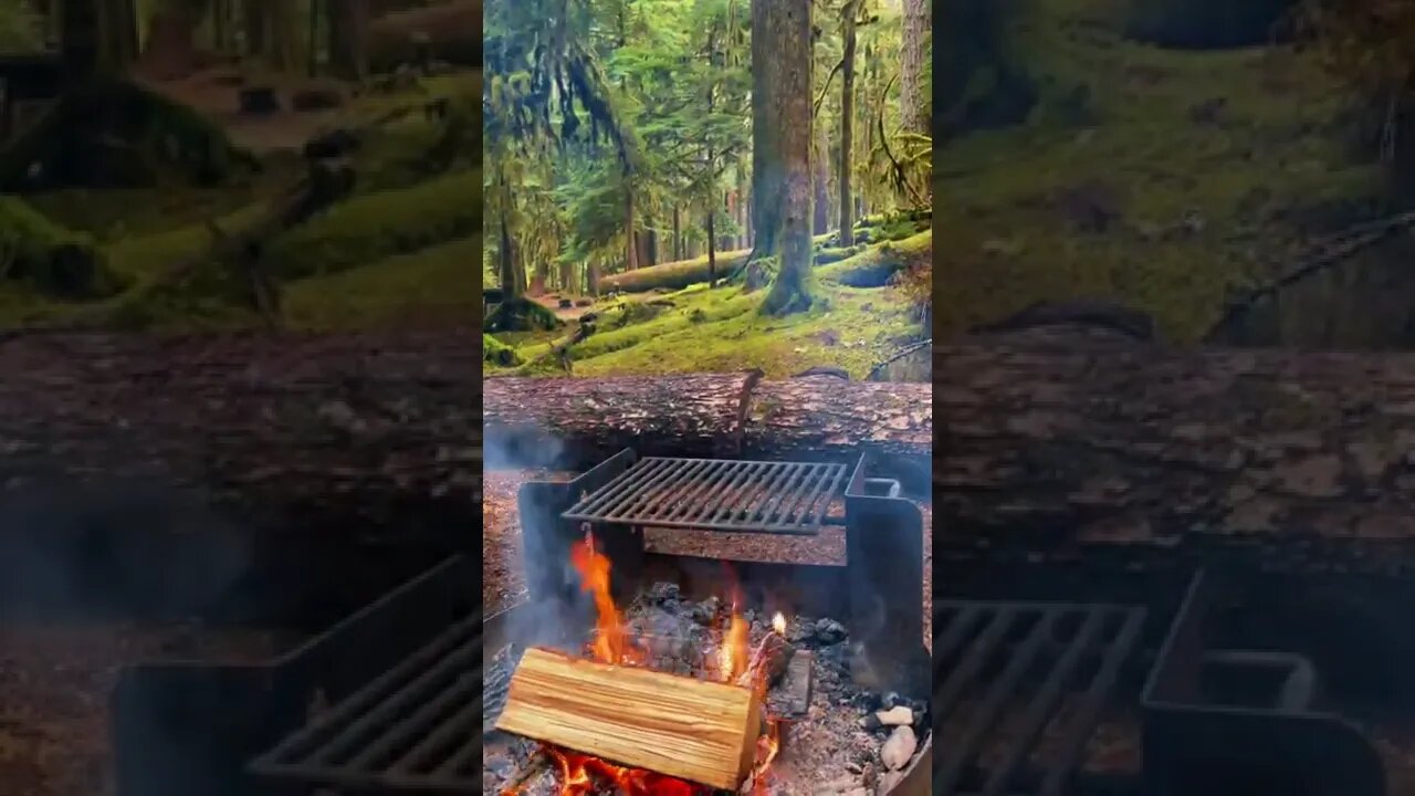 Days In The Forest tiktok outsidedave1196