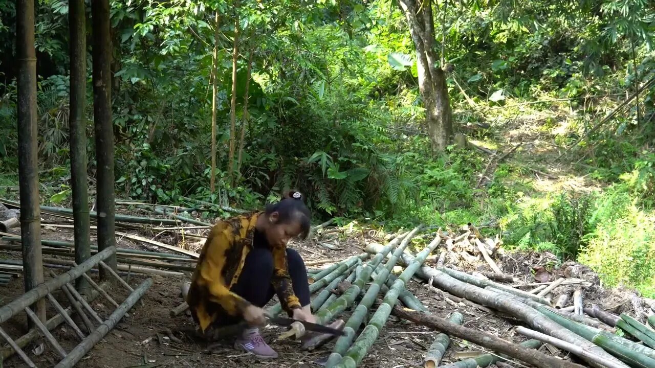 Build bamboo huts, build farms in the forest -13