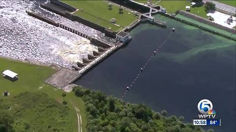 Discharges from Lake Okeechobee resume, sending algae into St. Lucie Estuary