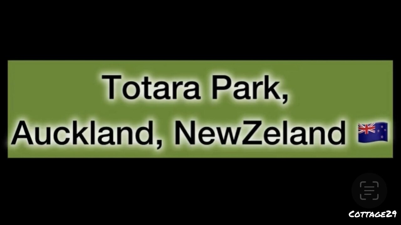 Totara Park, Auckland, New Zealand 🇳🇿