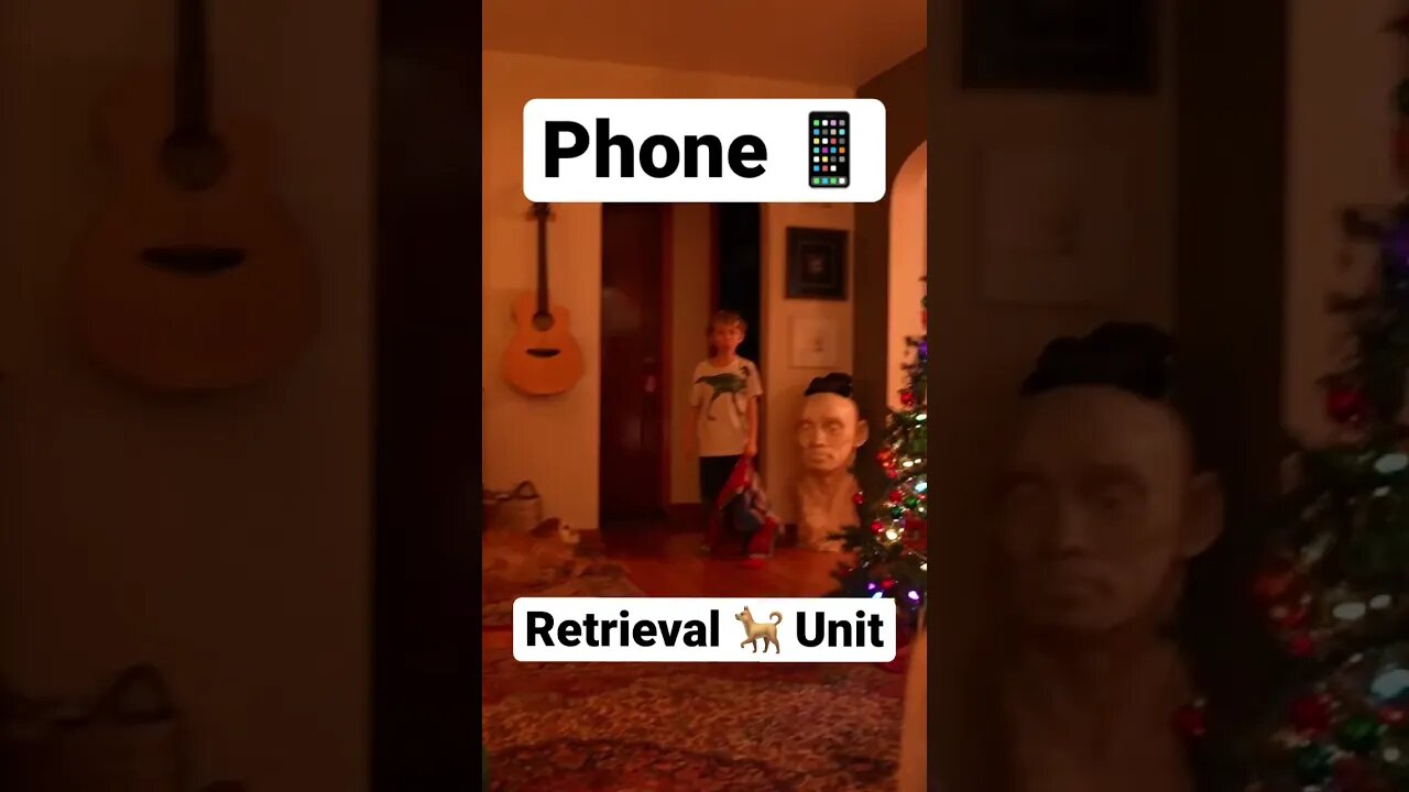 Phone retrieval Unit