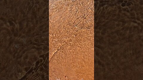 BEAUTIFUL DAY at the Beach ☀️🌊