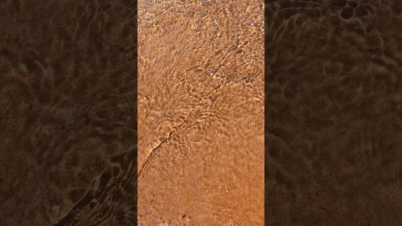 BEAUTIFUL DAY at the Beach ☀️🌊